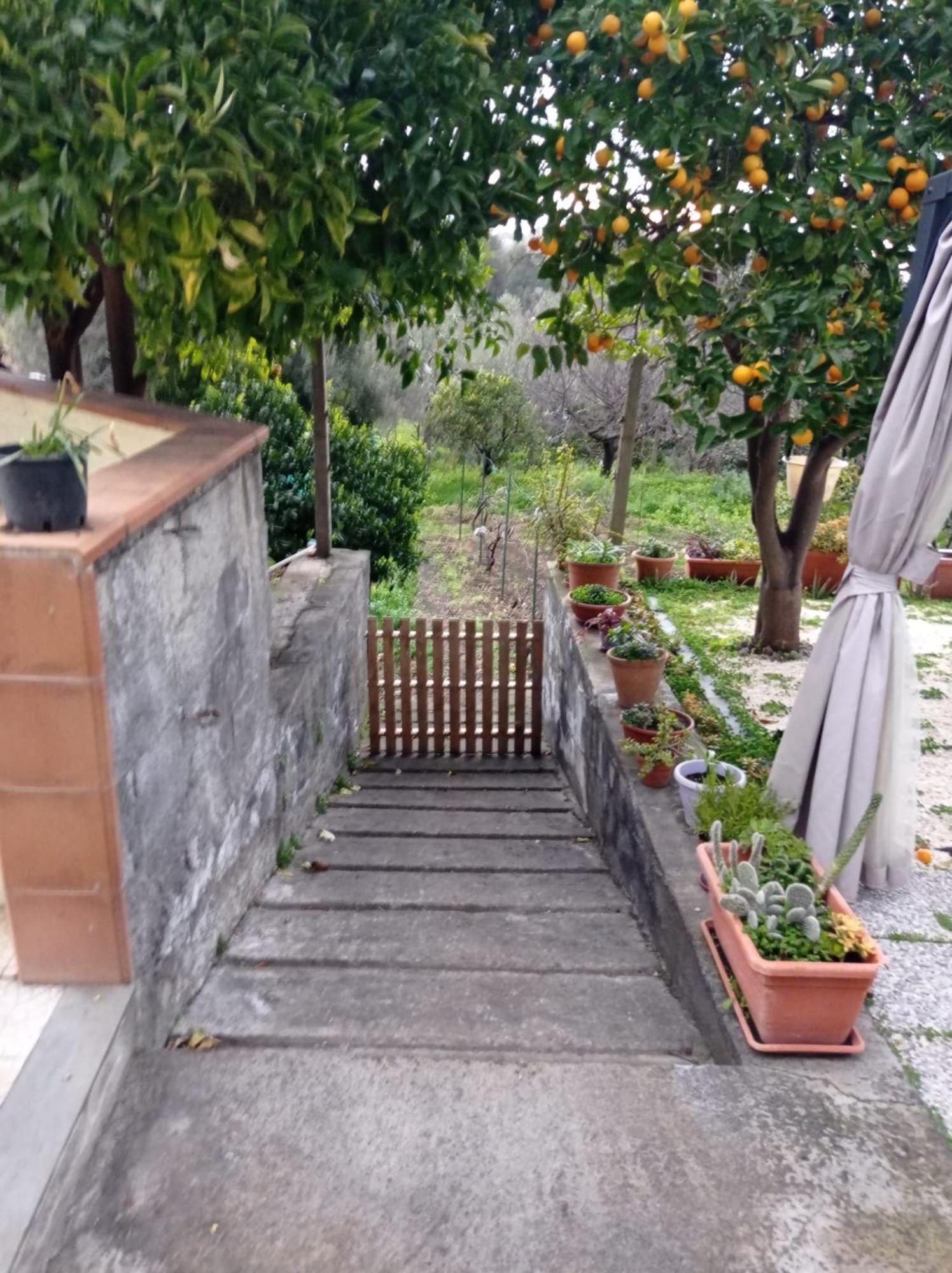 Ai Tre Desideri La Casita Villa Aci Castello Eksteriør billede