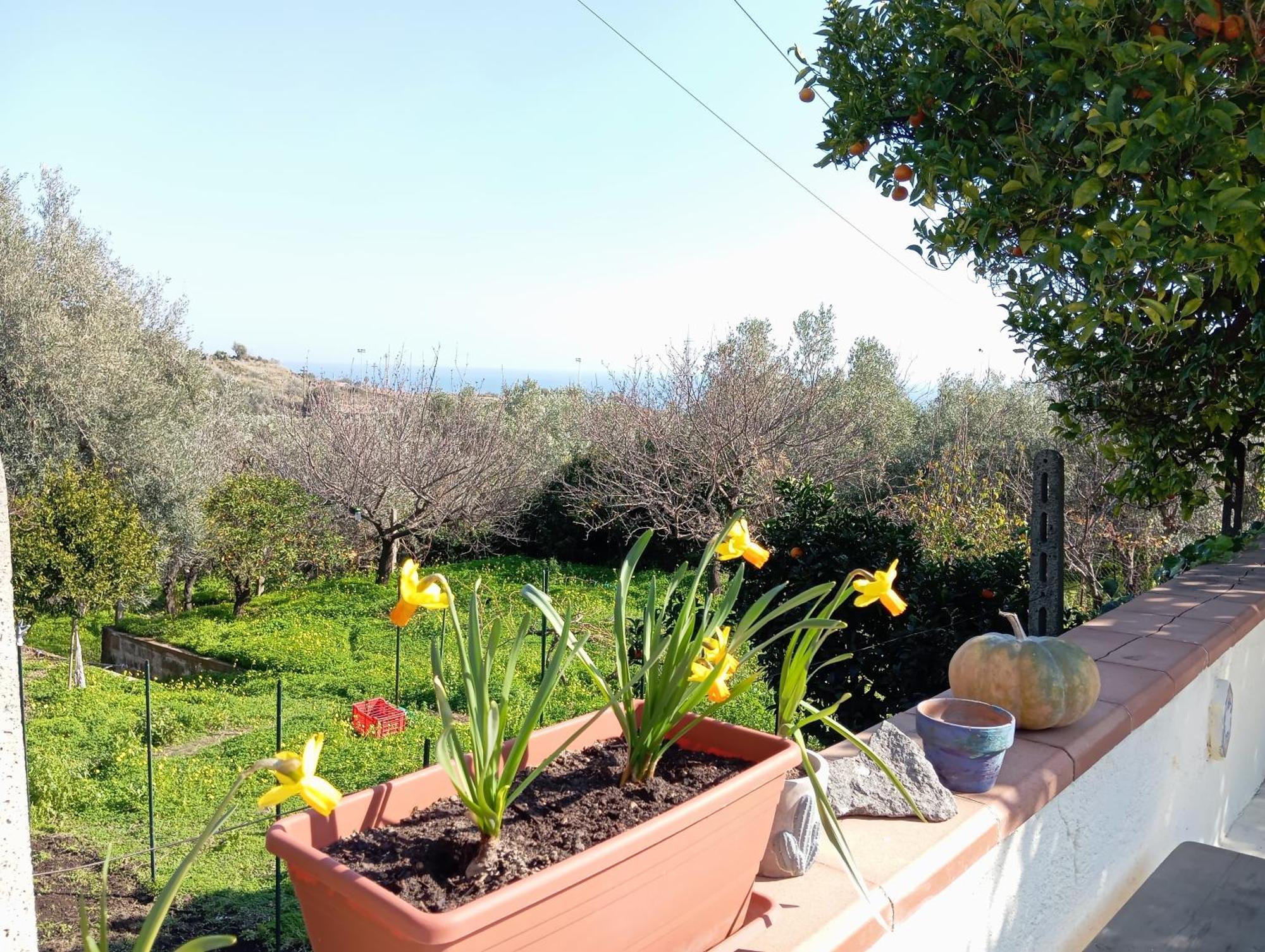 Ai Tre Desideri La Casita Villa Aci Castello Eksteriør billede