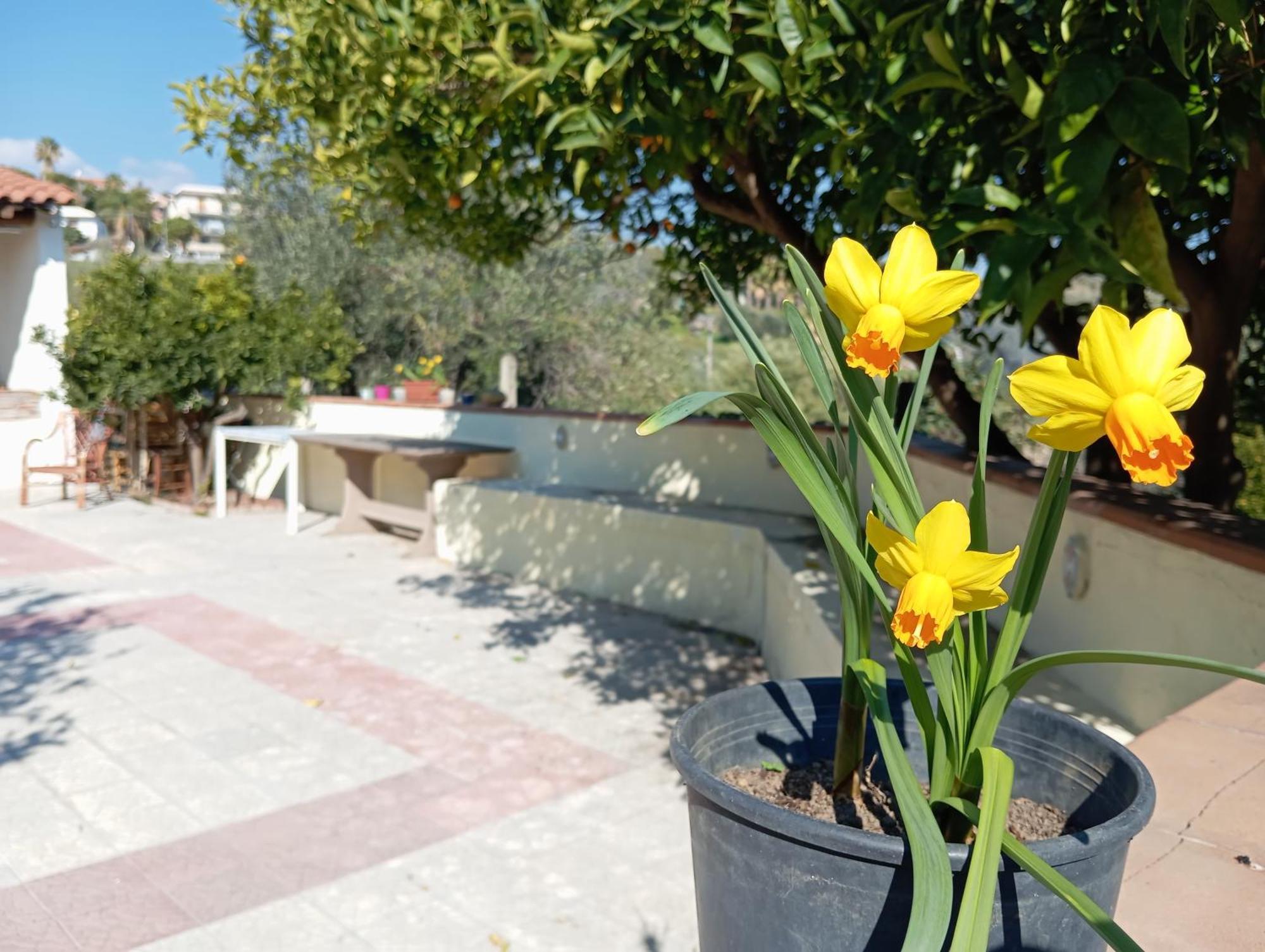 Ai Tre Desideri La Casita Villa Aci Castello Eksteriør billede